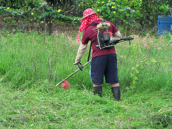 photo_by_牧樹人_on_pixnet photo_by_牧樹人_on_pixnet