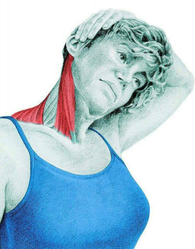 S__9044142 S__9044142