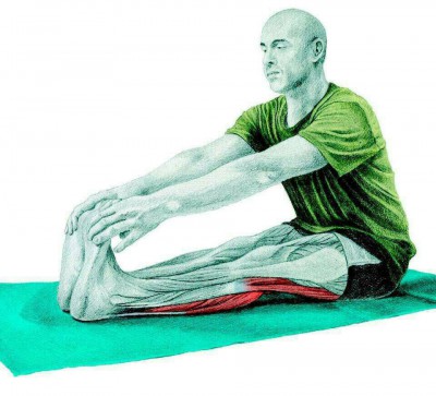 S__9044135 S__9044135