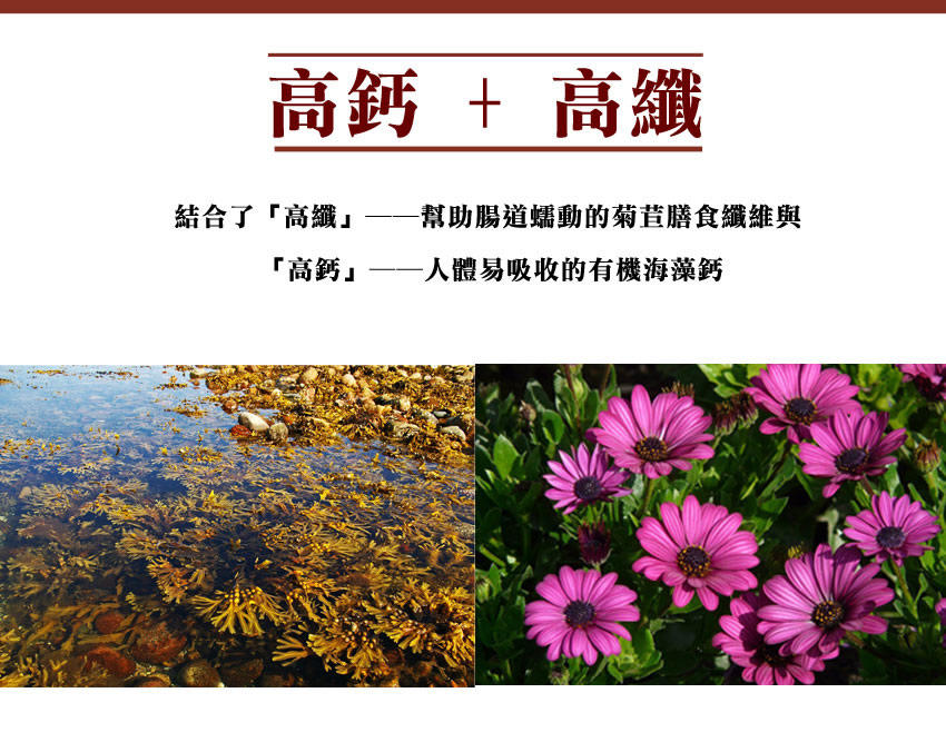 有機10穀粉4