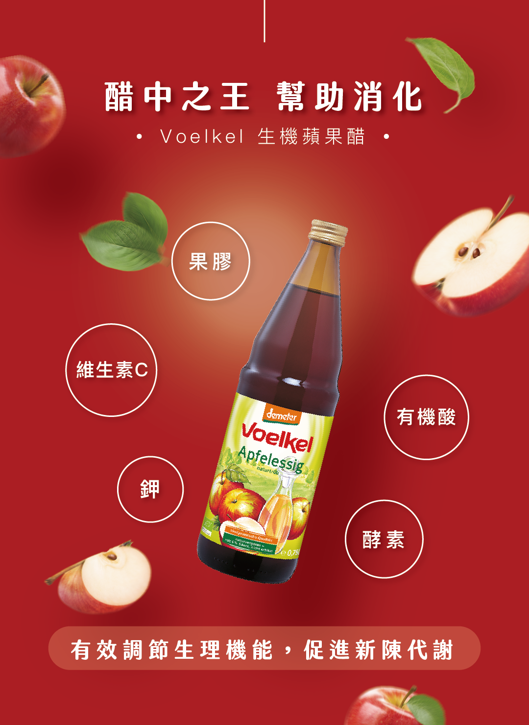 content_3ae03d2c-353e-4c25-be99-9927837923e2