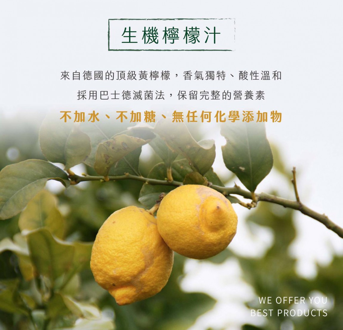 content_783cfd8b-6b25-4eef-bf8d-8ef2969d56e6