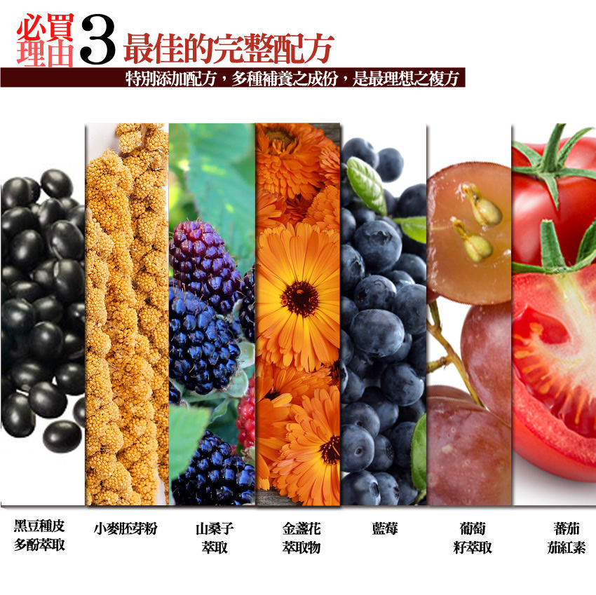 f0b817a5f0faa5f72a4ebc47003033ec
