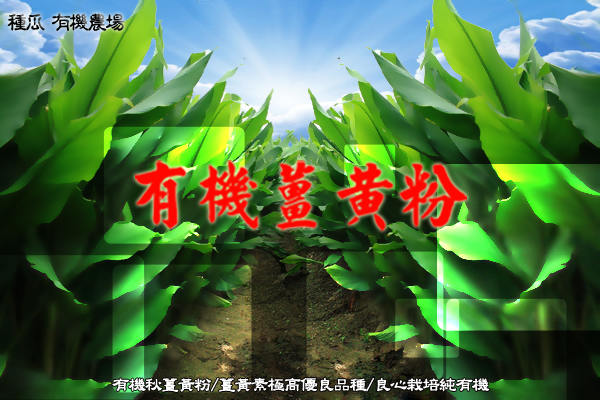 種瓜秋薑1 種瓜秋薑1