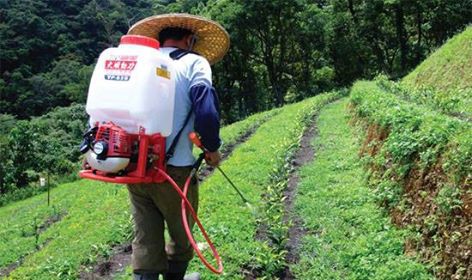 農民為什麼堅持使用農藥？