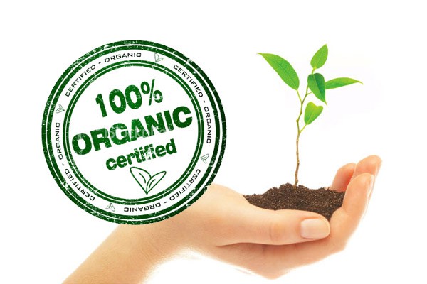 有機食物的營養成分沒有比較高？