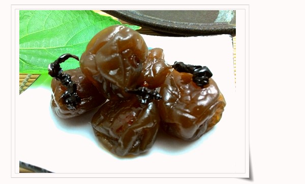 B01凍頂茶梅2