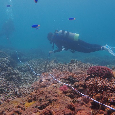 2020 澎湖馬公珊瑚礁體檢成果報告