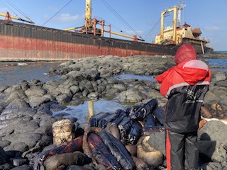 西吉島的美麗與哀愁
